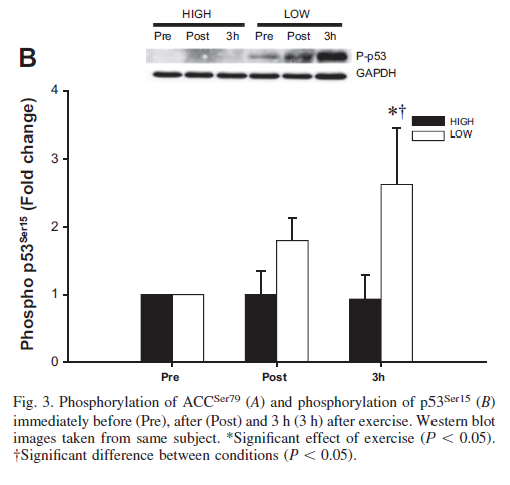 Skip The Pre Workout Carbs More Evidence Body Io